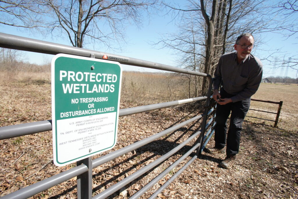 Paul Stoddard, a principal at environmental consulting firm EnSafe, unlocks the gate to the West Tennessee Wetlands Mitigation Bank in Shelby County, Tenn. on March 11, 2025. EnSafe planted more than 50,000 trees to restore portions of this 250-acre wetland, creating credits for developers to purchase to offset destruction of wetlands elsewhere. (Photo: Karen Pulfer Focht for Tennessee Lookout)